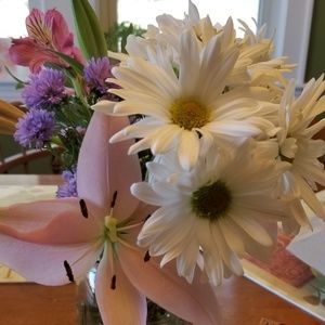 Meet your Posher, Elaine